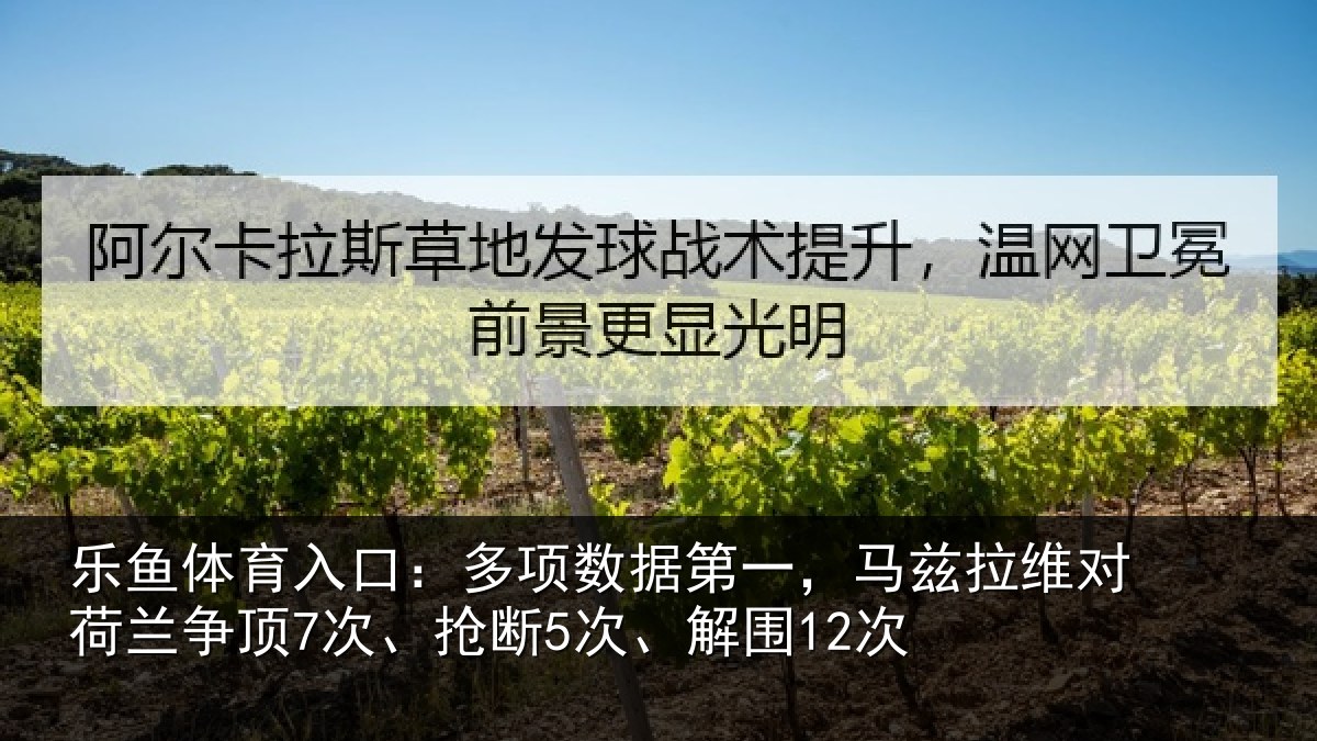 乐鱼体育入口：多项相关情况对荷兰相关情况12次